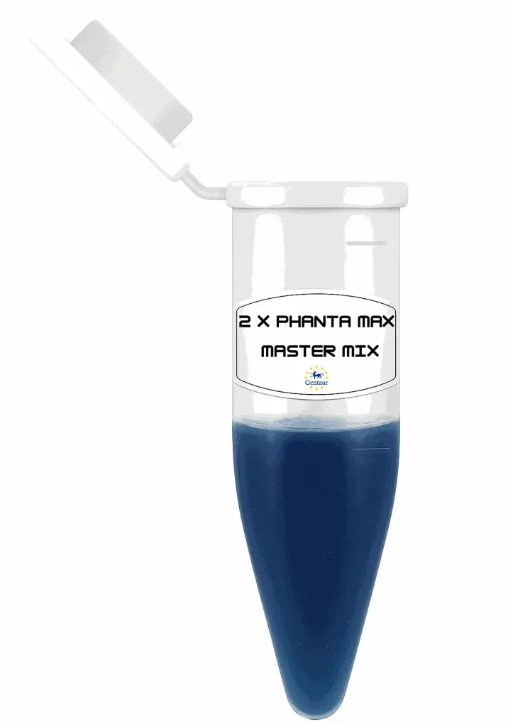 Gentaur® 2 × Phanta Max Master Mix - Dye Plus