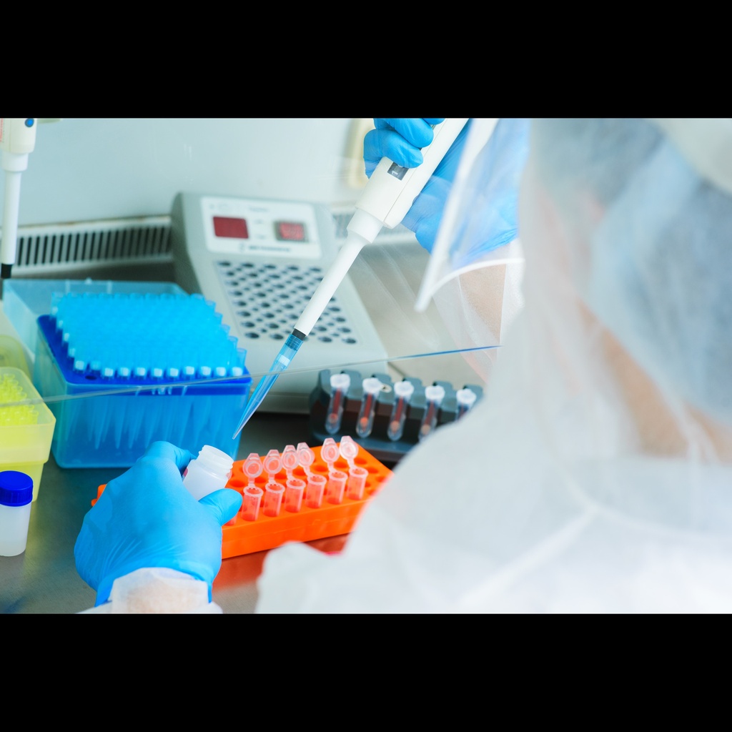 Corynebacterium diphtheriae One Step qPCR size: 50 Reactions