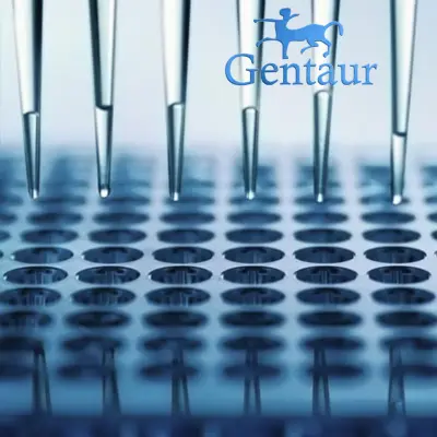 ELISA Kit for Glucagon Like Peptide 1  GLP1  size: 5*96 Tests