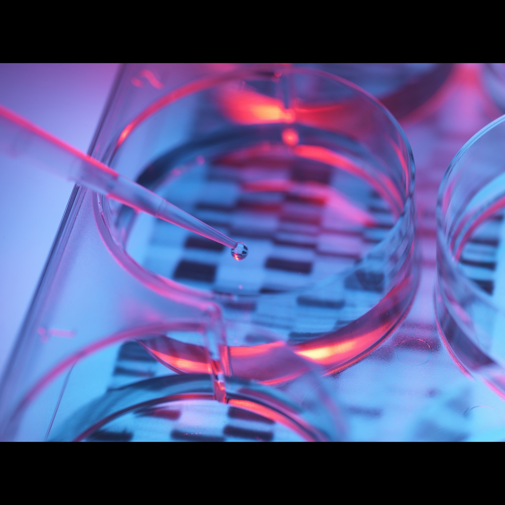 H19 Dye for DNA Relaxation and Supercoiling Assays, 1000 assyas